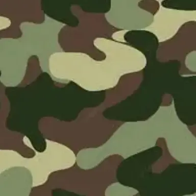 Profile image of 송영재