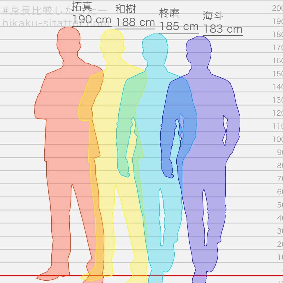 拓真