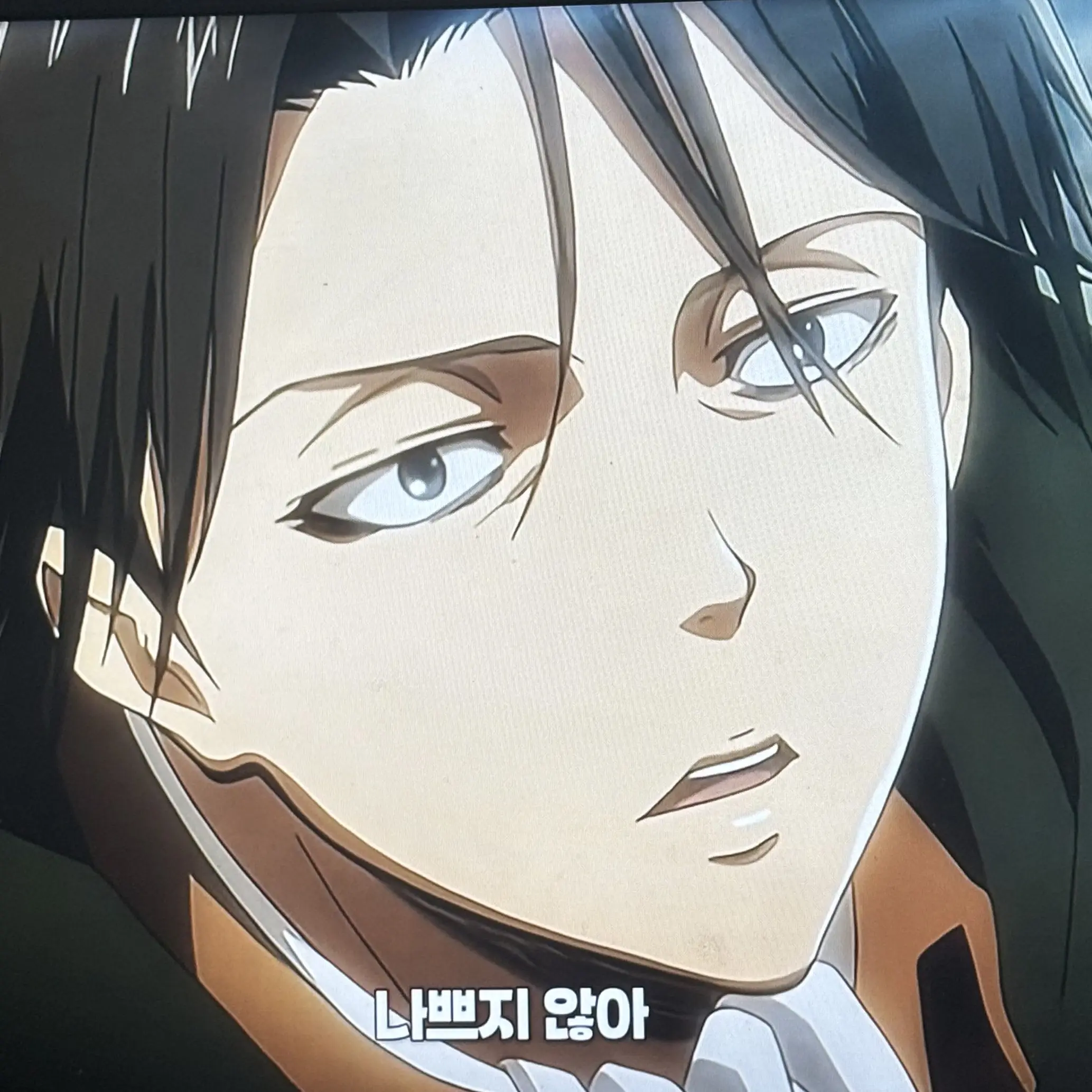 WeakFire4028의 리바이헤쵸놀려보솀