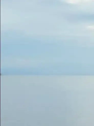 LemonyDebit5859의 もちつき