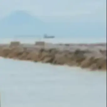 Profile image of かえで