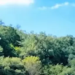 Profile image of おばあちゃん達