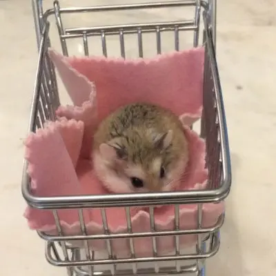 _RH의 한유민
