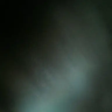 Profile image of 장한음