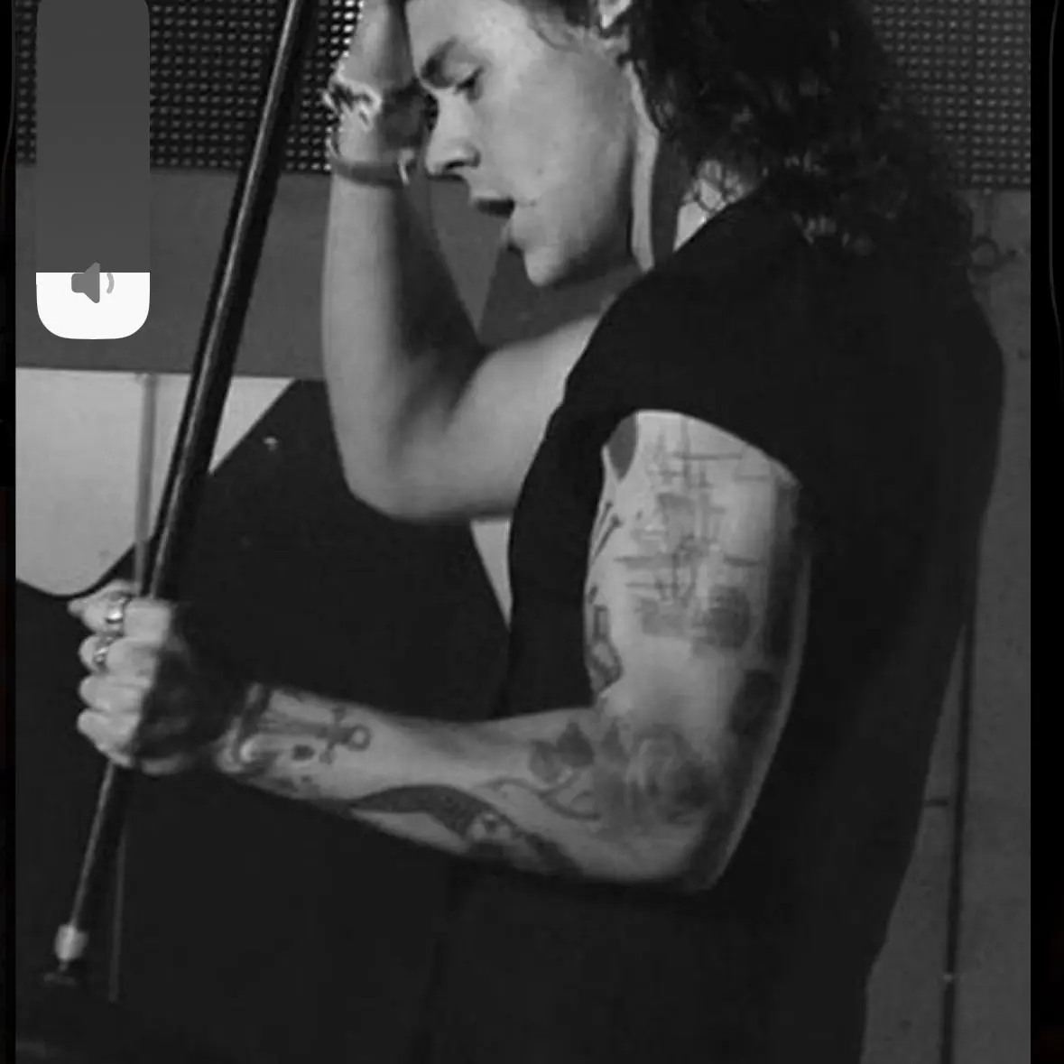 Tpwk의 Harry styles