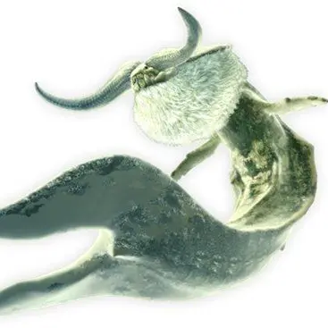 Profile image of ナバルデウス