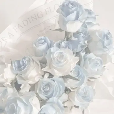 Profile image of 이로