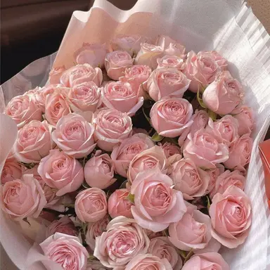 Profile image of 하렌