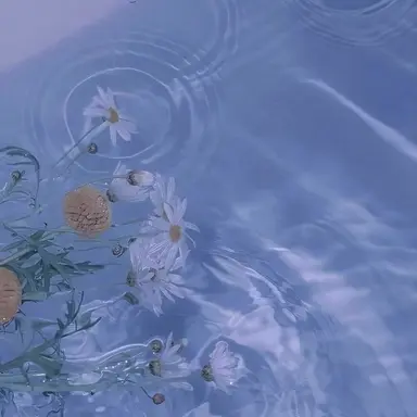 Profile image of 박잠뜰