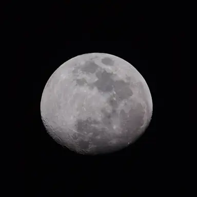 Profile image of 강보경