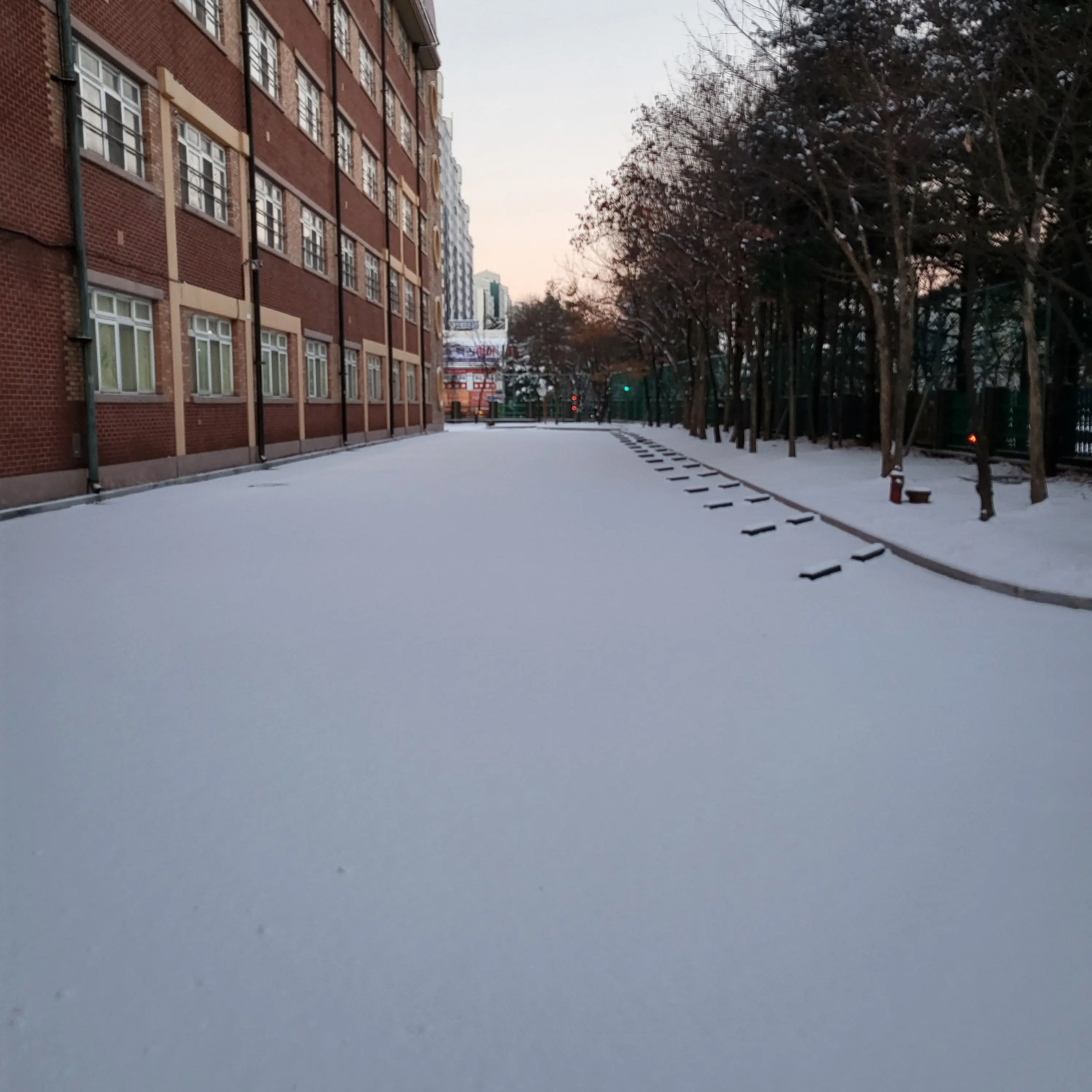BoredCold9298의 학교 생활