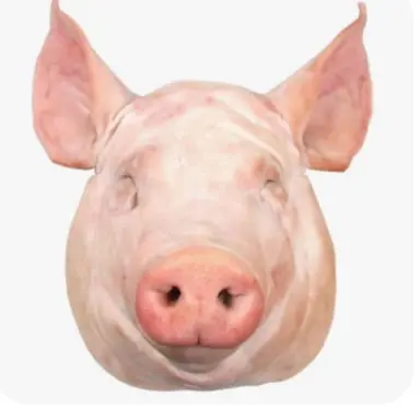 Profile image of 돼지