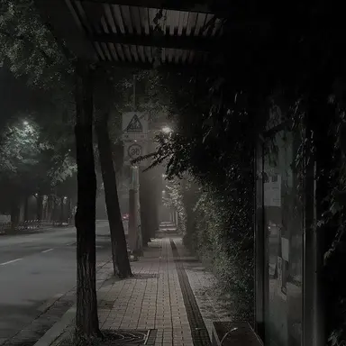 Profile image of 토쿠노 유우시