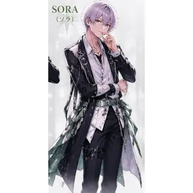 Profile image of ソラ