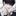 이백하