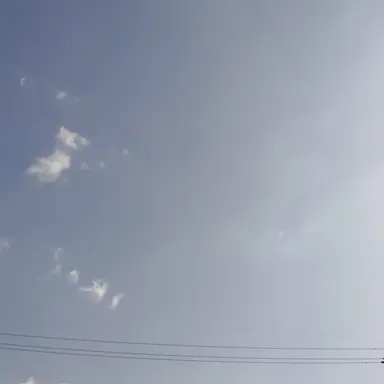 Profile image of 진우