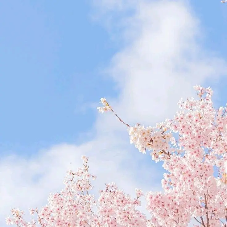 Yeye-plli의 ㄴㅇㅈ