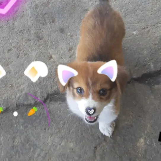 SlowFeast6799의 내가남치범!!