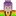 잼민