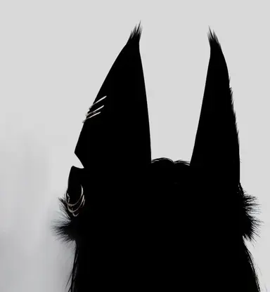 Profile image of Renvi Shade Amberson