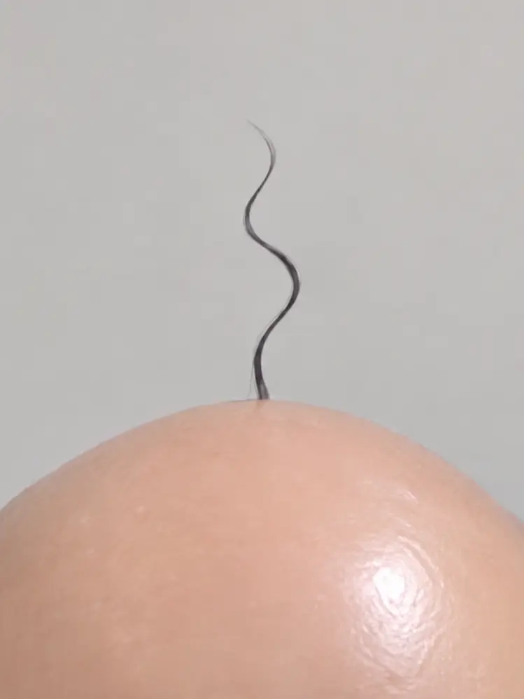 oimo723의 Do You Have Your Hair?