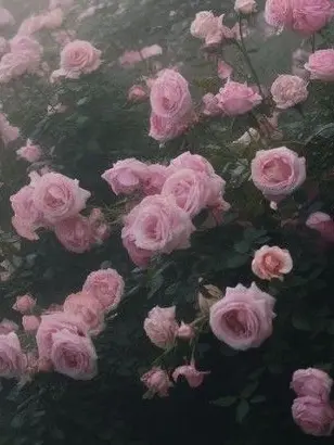 XoX....의 9月1日を繰り返す