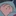 모카