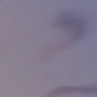 Profile image of 優吾