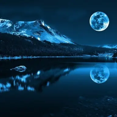 Profile image of 산드라