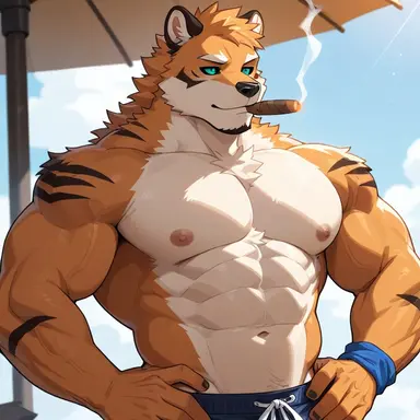 Profile image of ライガ