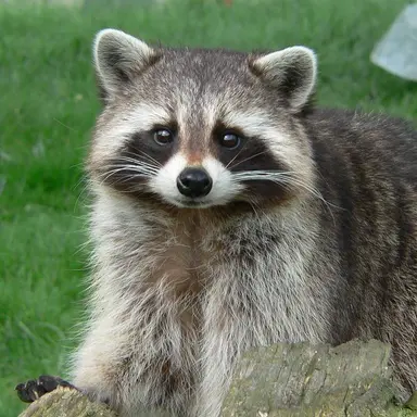 Profile image of 효