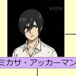 Profile image of ミカサ