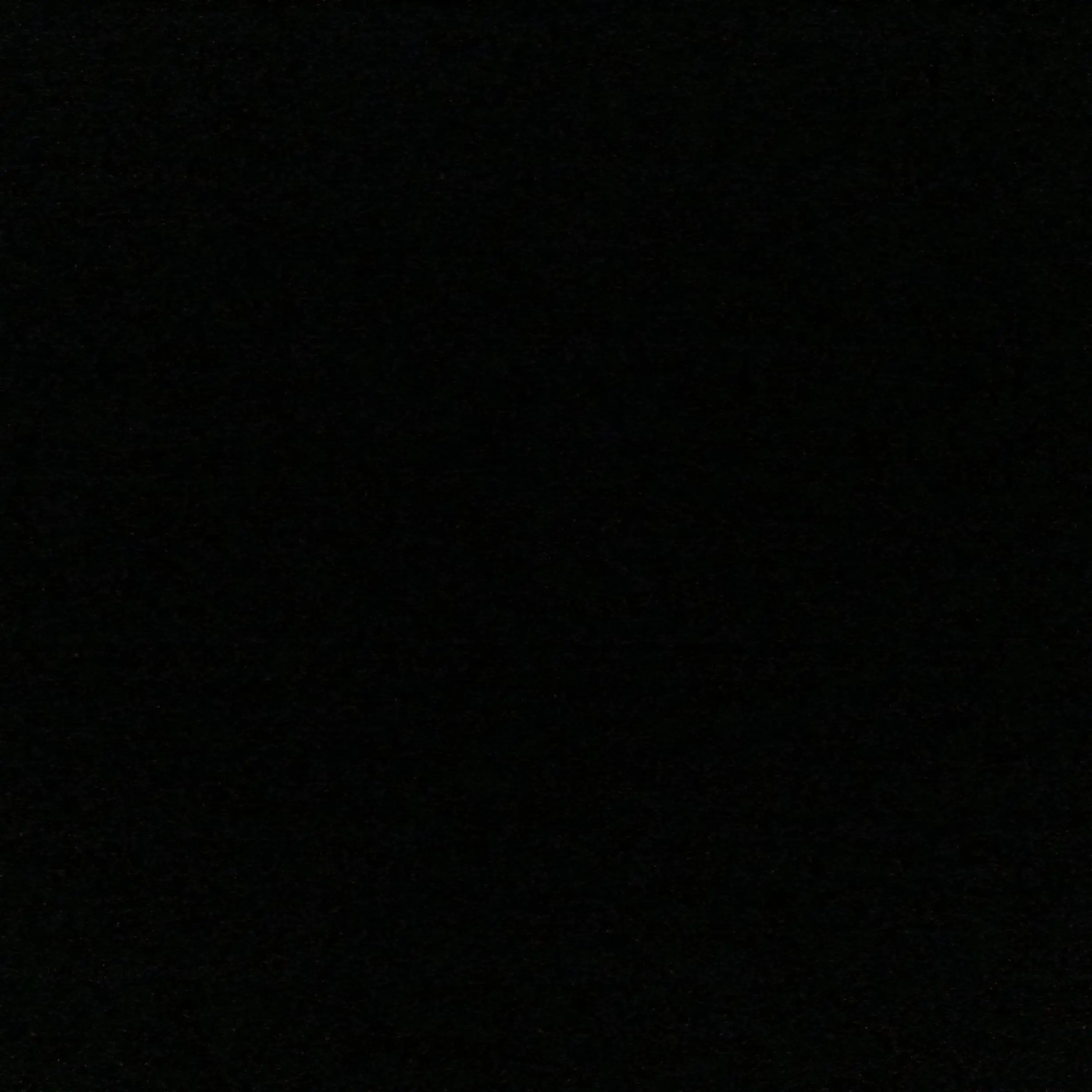 FoggyHorgi0419의 김동현