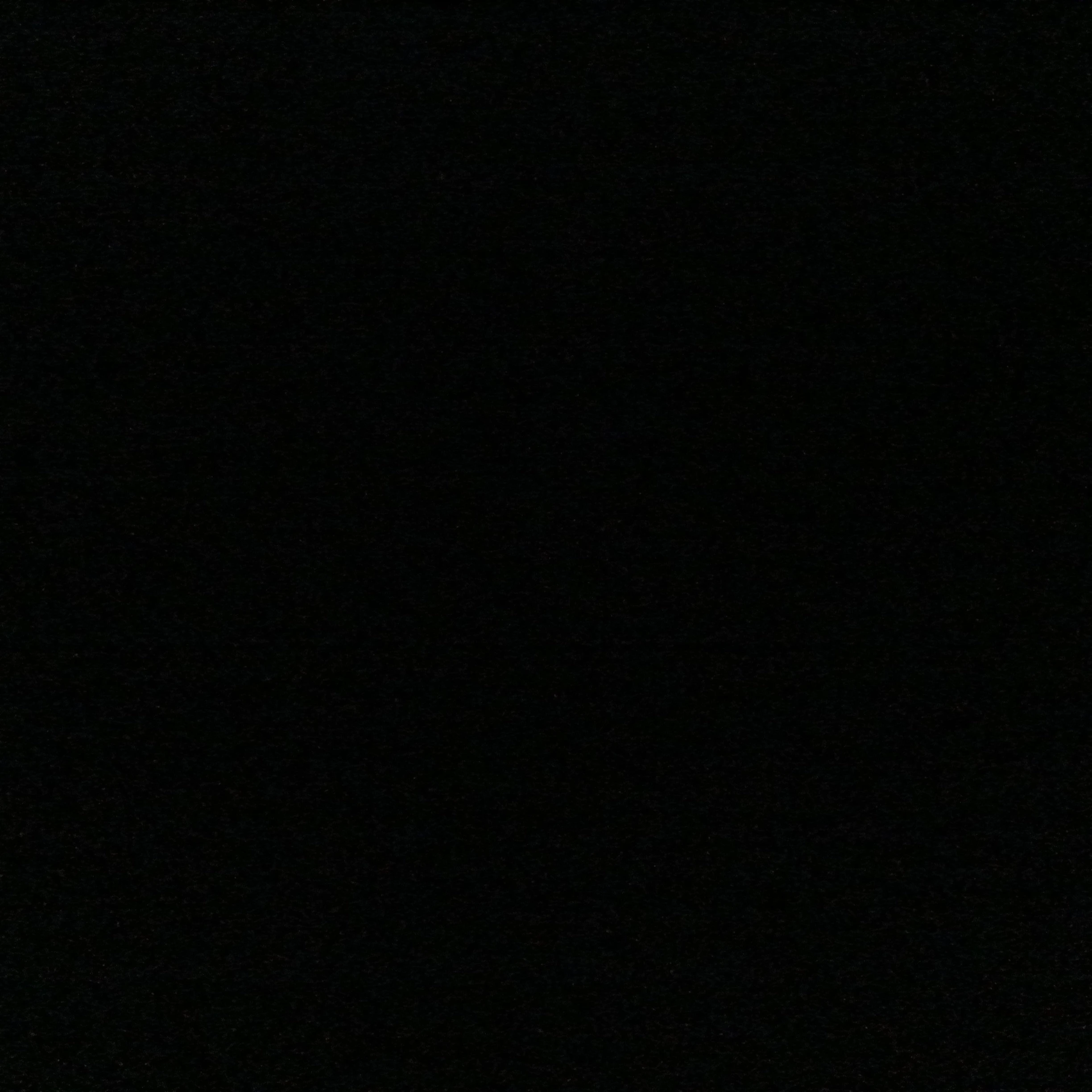 김동현