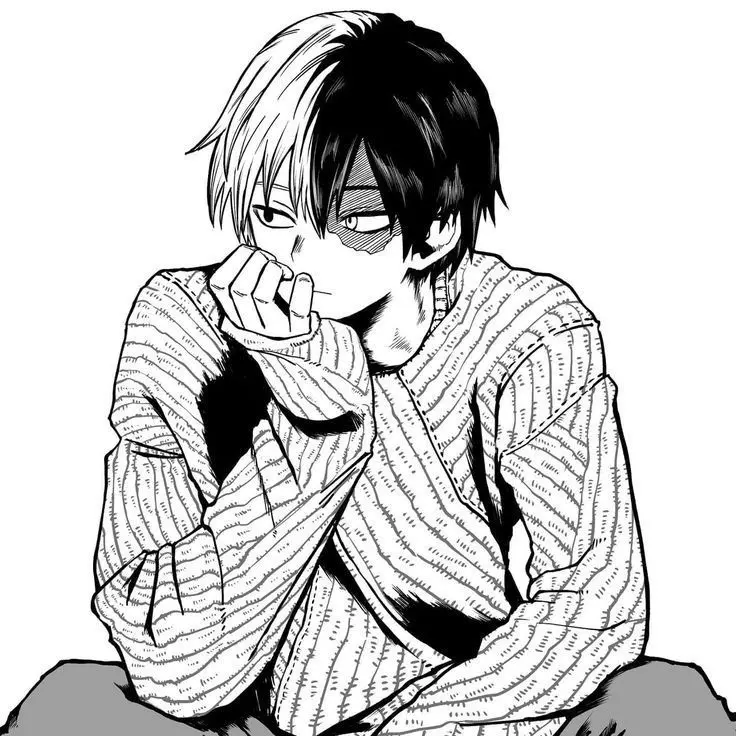 haru_176의 토도로키 쇼토