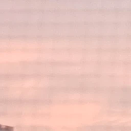 ㆍ사자걸스or귀마