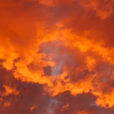 Profile image of 덕개