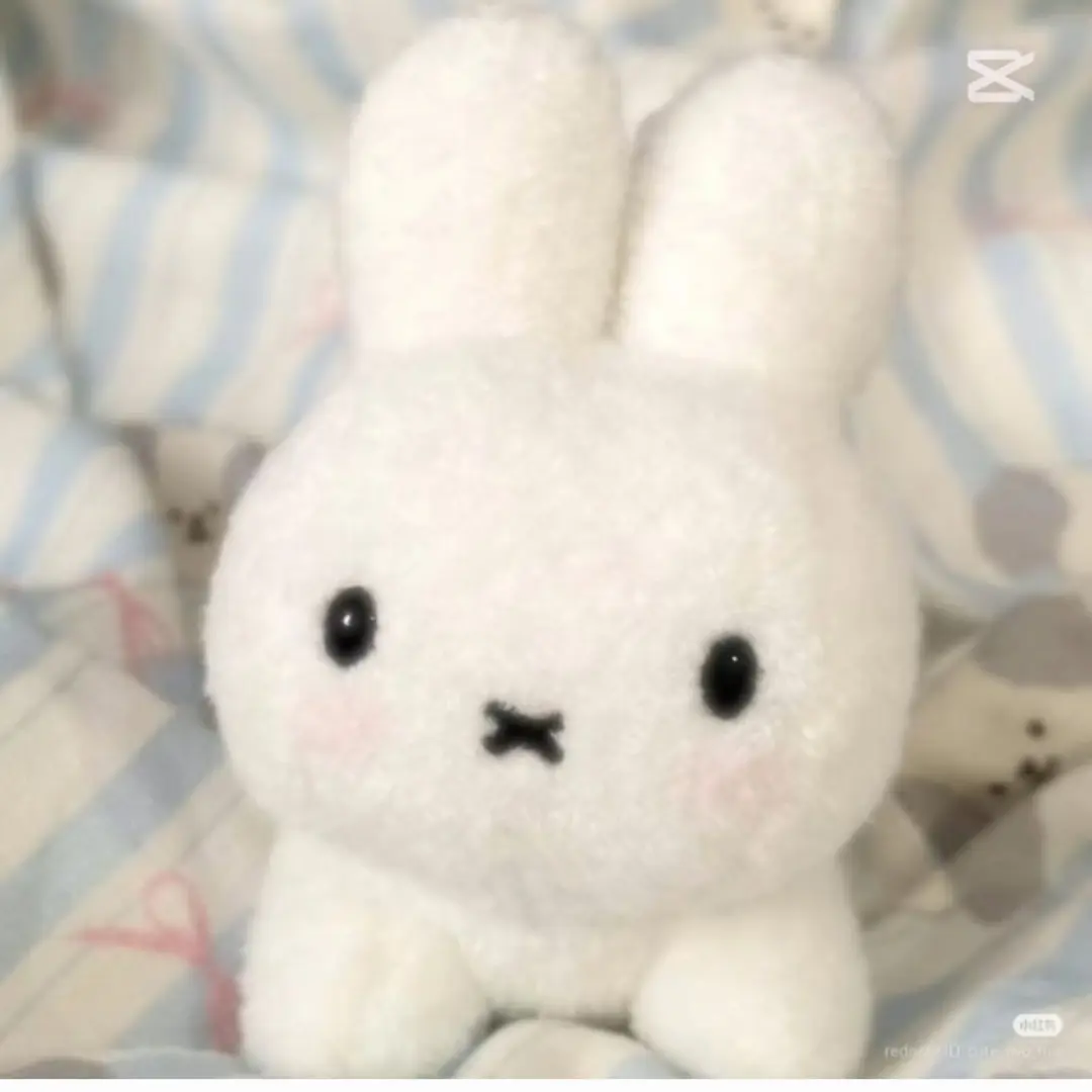 CattyPatio6547의 마법부 P반