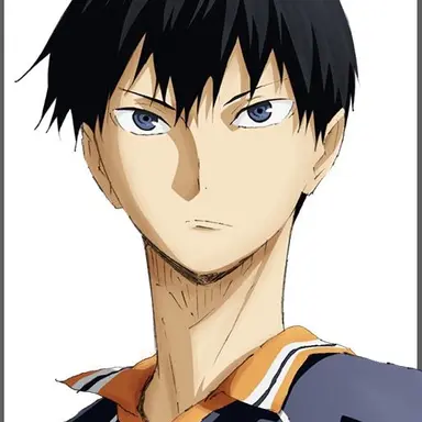 Profile image of 影山飛雄