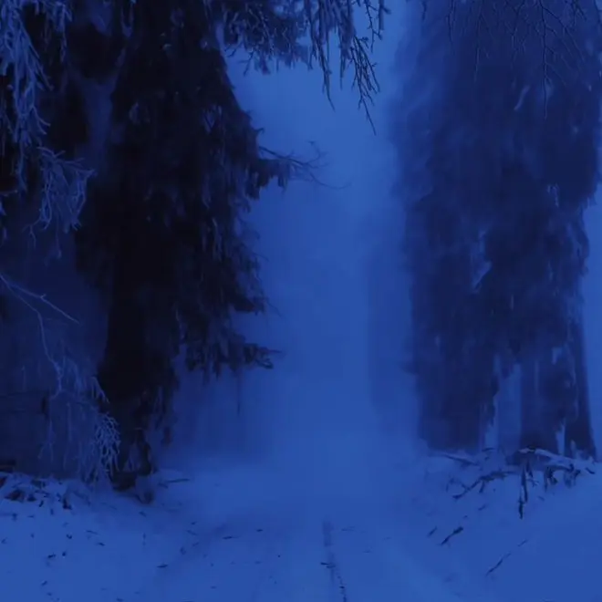 escapism_의 𝓸𝓫𝓼𝓮𝓼𝓼𝓲𝓸𝓷