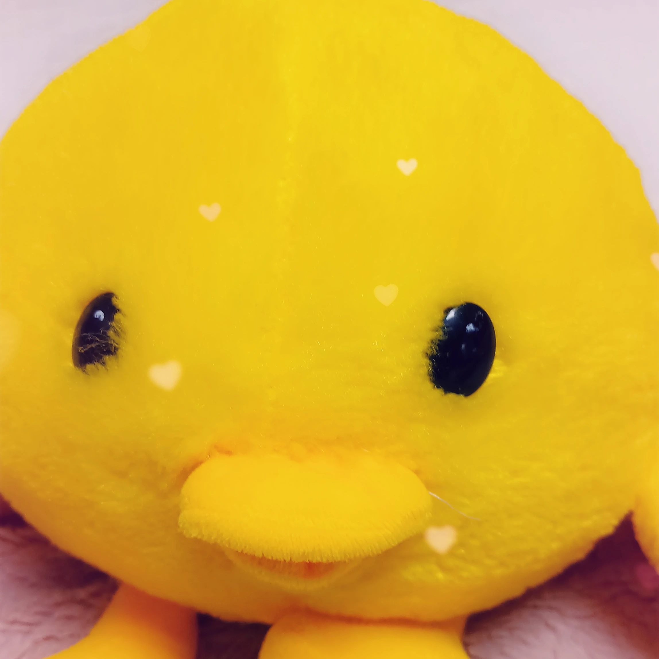 몽이아름🩷
