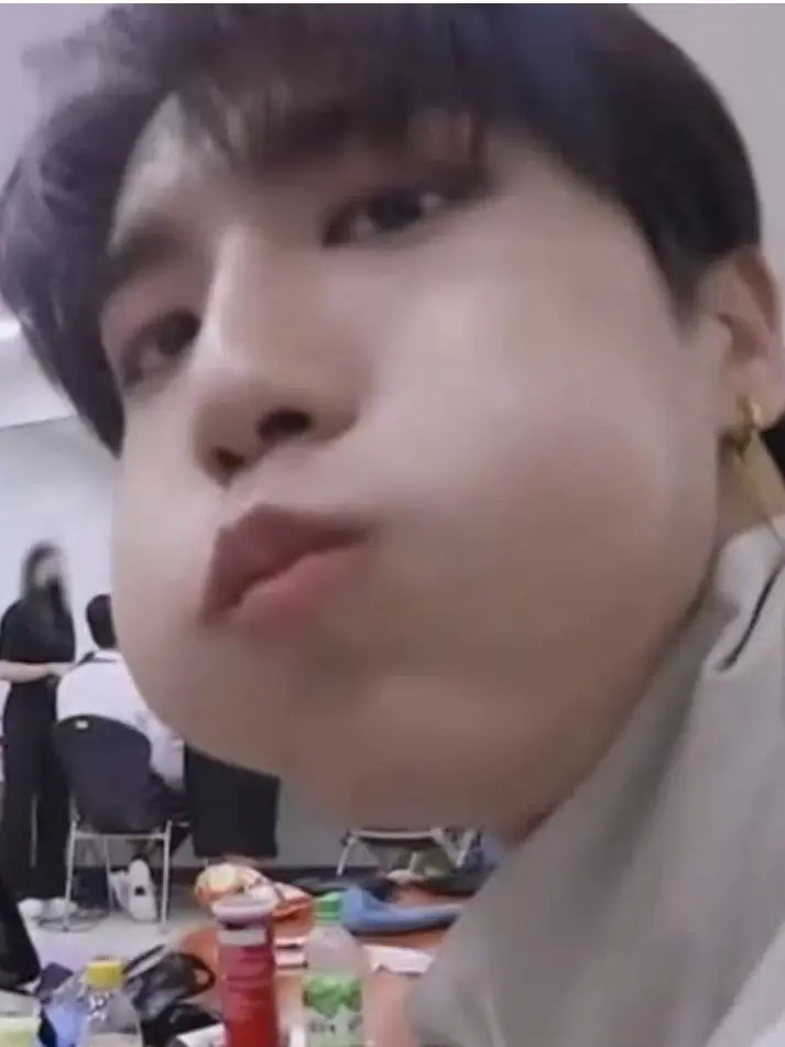 SuppleKagu8973의 Stray Kids