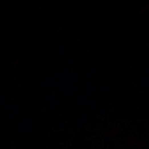 장하오