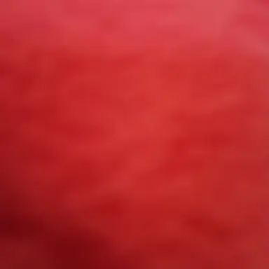 Profile image of アメリカ