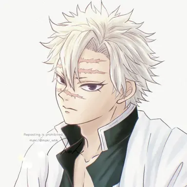 Profile image of Sanemi Shinazugawa