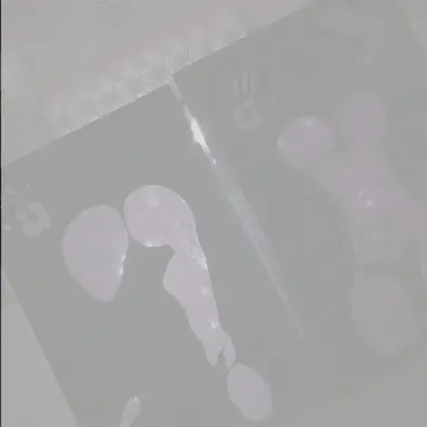 Profile image of Isabela Reyes