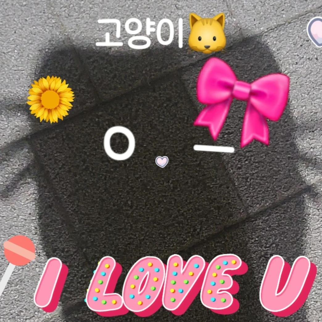 6남매고고 프랜즈