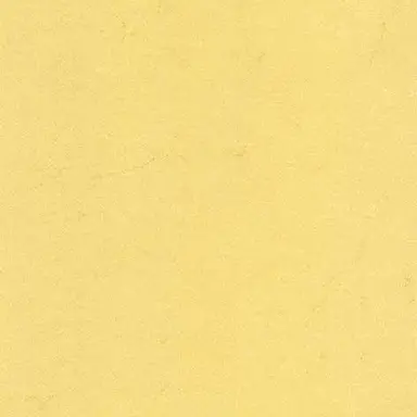 Profile image of ryota