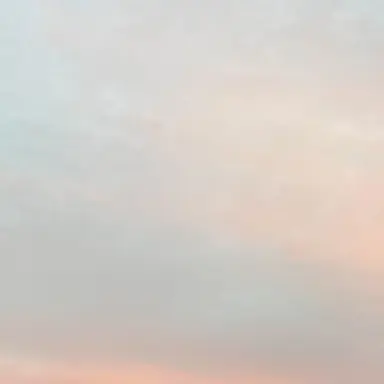 Profile image of ナシメ