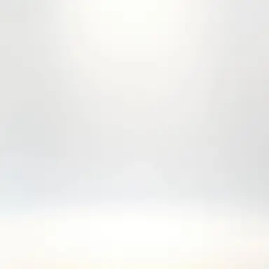 Profile image of 田中碧
